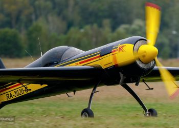 110 петель Нестерова в небе Подмосковья!